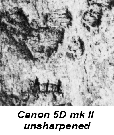 Canon 5d marl II and Contax 60/2,8 Makro Planar crop 03