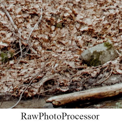 RawPhotoProcessor